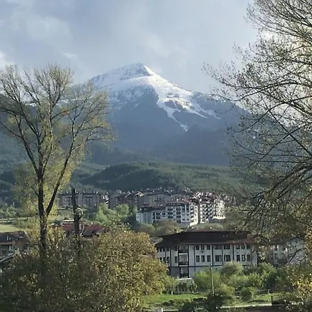 公寓 Ruhig In Den Bergen Bulgariens 班斯科
